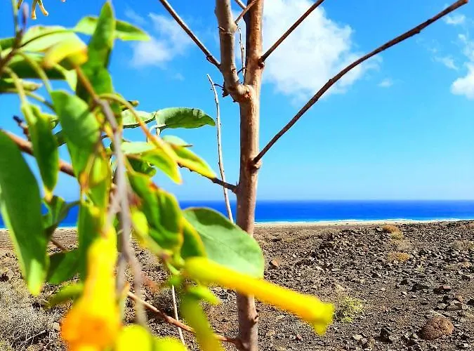 度假居 El Bounty De Playa Chica *