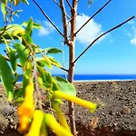 Σπίτι διακοπών El Bounty De Playa Chica *