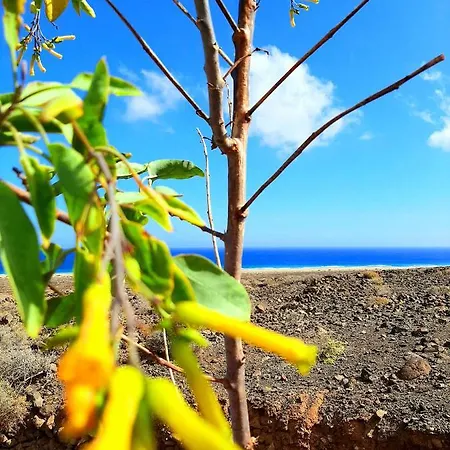 בית נופש El Bounty De Playa Chica *